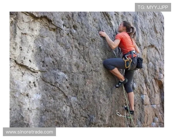 武汉攀岩队突破传统包夹技术实现全新攀登模式的探索与实践